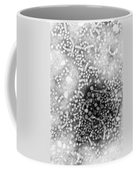 Transmission Electron Micrograph Coffee Mug featuring the photograph Hepatitis B, Tem #2 by Science Source