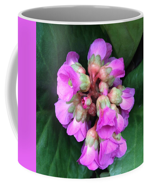 Flower Coffee Mug featuring the photograph In Bloom #2 by Anne Thurston