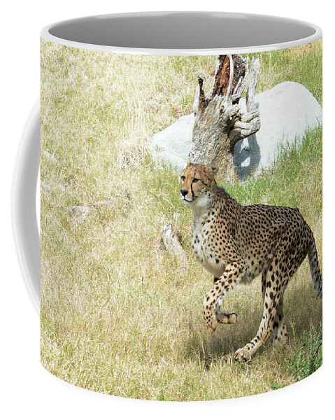 Cheetah Coffee Mug featuring the photograph Jump #2 by Fraida Gutovich