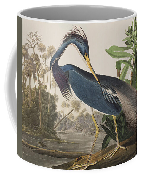 Louisiana Heron Coffee Mug featuring the painting Louisiana Heron by John James Audubon