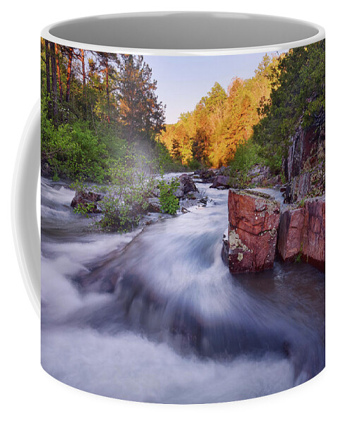 Creek Coffee Mug featuring the photograph Lower Rock Creek #2 by Robert Charity
