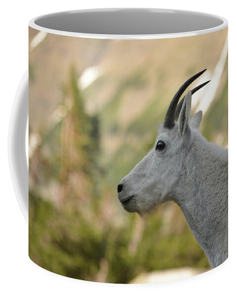 Mammal. Animal Coffee Mug featuring the photograph Mountain Goat #3 by Whispering Peaks Photography