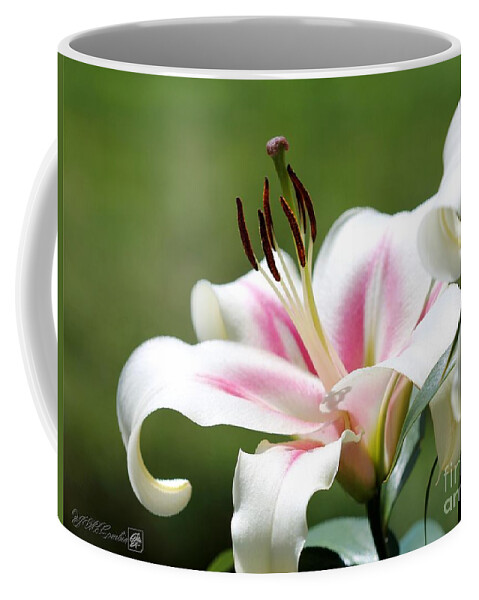 Mccombie Coffee Mug featuring the photograph Oriental Tumpet Lily named Bonbini #4 by J McCombie