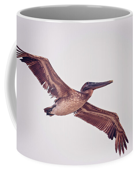 Aqua Coffee Mug featuring the photograph Pelican by Peter Lakomy