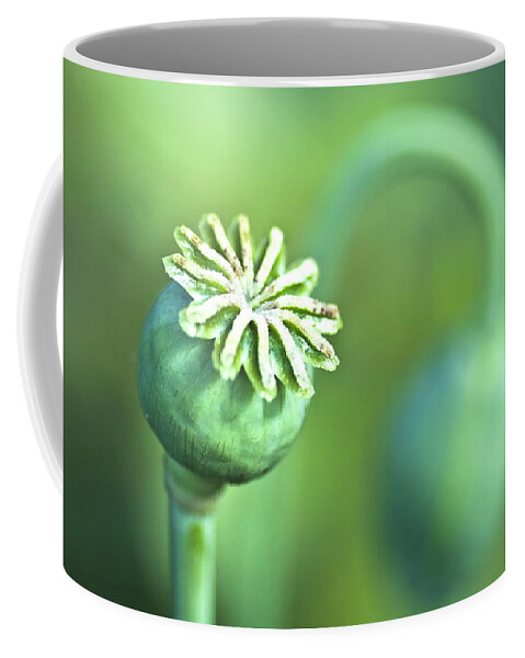 Poppy Coffee Mug featuring the photograph Poppy seed capsule #2 by Heiko Koehrer-Wagner