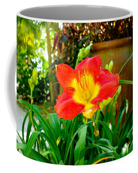 Beautiful Coffee Mug featuring the photograph Pretty flower by Raul Rodriguez