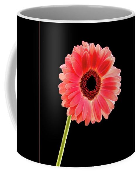 Jean Noren Coffee Mug featuring the photograph Pretty in Pink #2 by Jean Noren