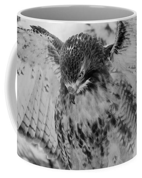 Portrait Coffee Mug featuring the photograph Red-Tailed Hawk in Snow #2 by Joye Ardyn Durham