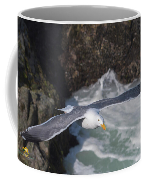 Bodega Bay Coffee Mug featuring the photograph Seagull #2 by Jim Thompson