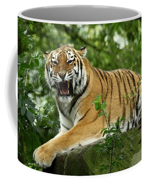 Siberian Tiger Coffee Mug featuring the photograph Siberian Tiger #2 by Jackie Russo