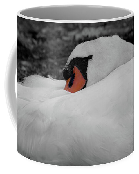 Swan Coffee Mug featuring the photograph Sleeping Beauty #2 by Scott Carruthers