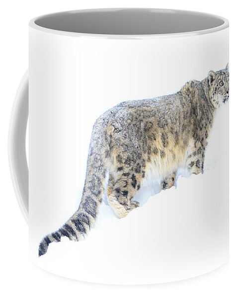 Snow Leopard Coffee Mug featuring the photograph Snow Cat #2 by Steve McKinzie