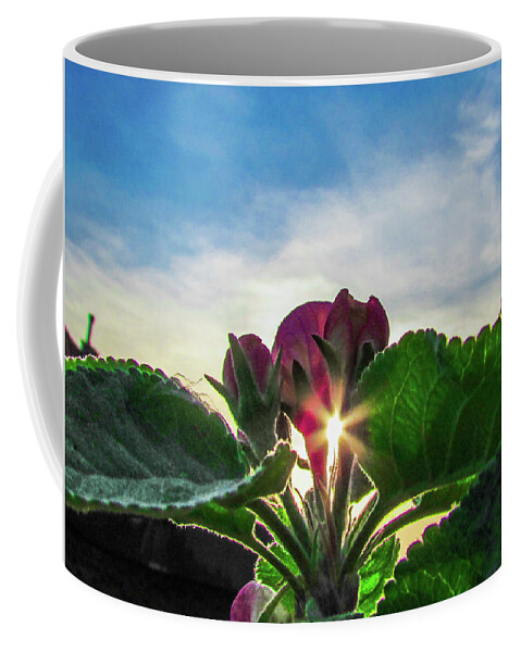 Bug Coffee Mug featuring the photograph Sun Rays #2 by Cesar Vieira