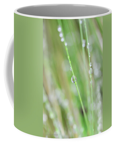 Water Coffee Mug featuring the photograph Tenderness #2 by Donna Blackhall