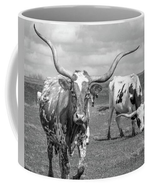 Texas Longhorns Coffee Mug featuring the photograph Texas Longhorns #2 by Robert Bellomy