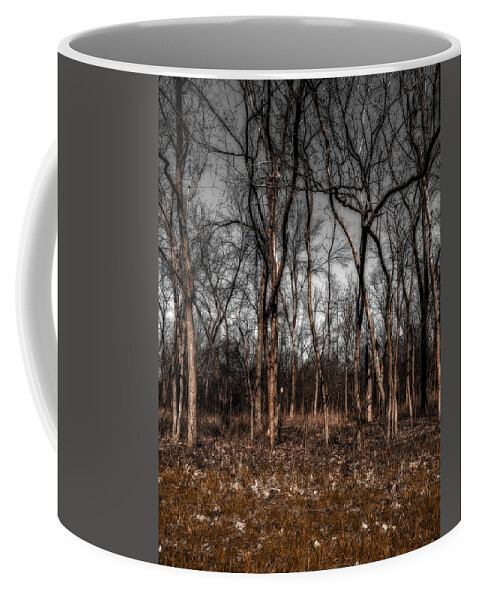 Area Coffee Mug featuring the photograph Trees #2 by Peter Lakomy