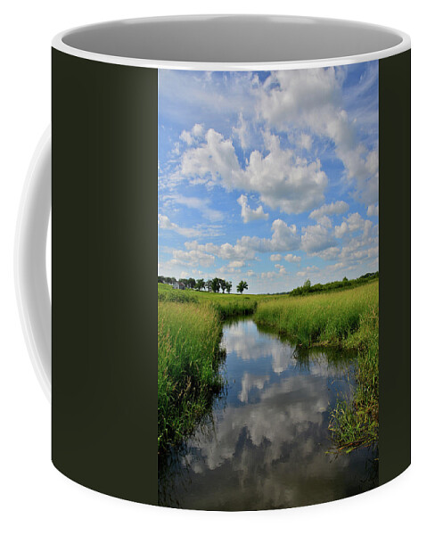 Glacial Park Coffee Mug featuring the photograph Wetland Reflection in Glacial Park #2 by Ray Mathis