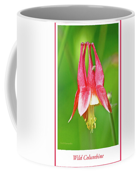 Wildflower Coffee Mug featuring the photograph Wild Columbine Flower #2 by A Macarthur Gurmankin