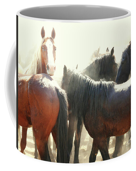 Man Fron Snowy River Coffee Mug featuring the photograph Wild Horses - Australian Brumbies 3 #1 by Lexa Harpell