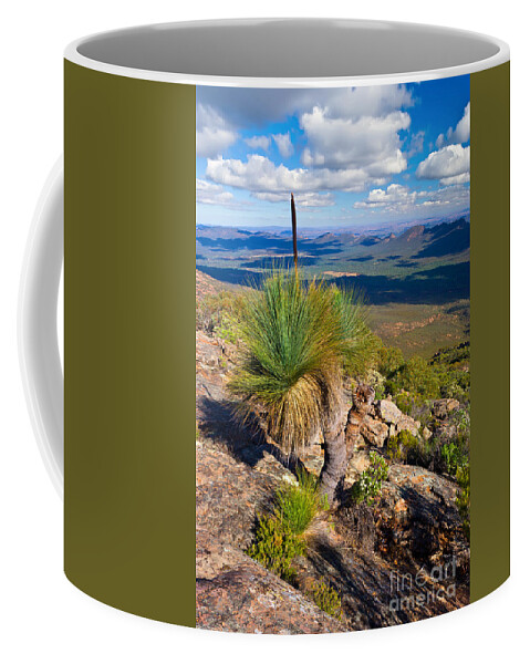 Wilpena Pound St Mary Peak Flinders Ranges South Australia Australian Landscape Landscapes Outback Coffee Mug featuring the photograph Wilpena Pound by Bill Robinson