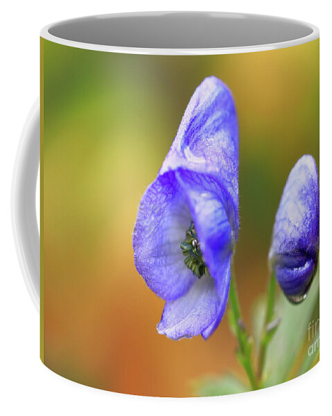 Flower Coffee Mug featuring the photograph Wolf's bane flower #3 by Nick Biemans