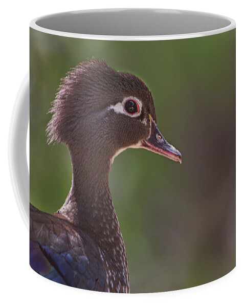 Animal Coffee Mug featuring the photograph Wood Duck #2 by Brian Cross