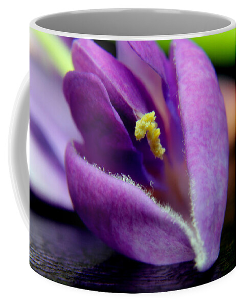 Nature Coffee Mug featuring the pyrography 2010 Wisteria Blossom Up Close 19 by Robert Morin