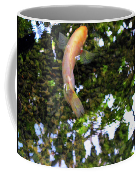 Fish Coffee Mug featuring the photograph Swedish Coy by Kathy Corday