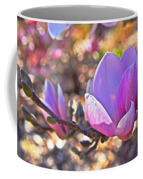 Magnolias Coffee Mug featuring the photograph 2015 Early Spring Magnolia by Janis Senungetuk