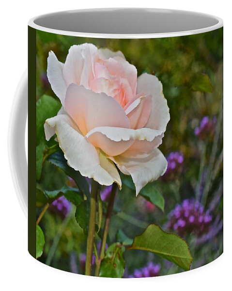 Rose Coffee Mug featuring the photograph 2015 Fall Equinox Ivory Rose by Janis Senungetuk