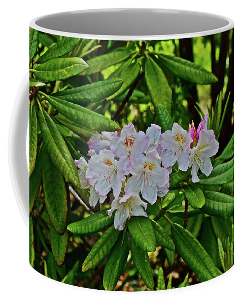 Rhododendron Coffee Mug featuring the photograph 2016 Mid May Mikke Rhododendron by Janis Senungetuk