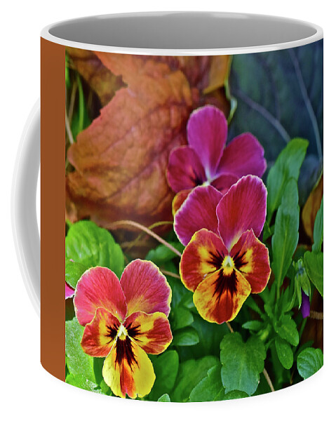 Pansies Coffee Mug featuring the photograph 2017 Early May at the Garden Spring Pansies by Janis Senungetuk