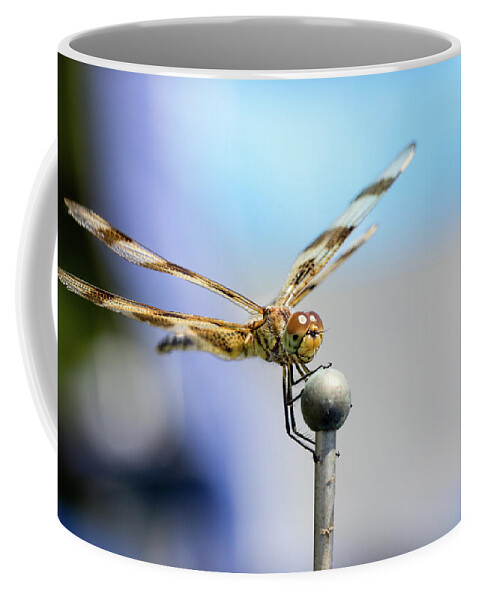 2017 Eclipse Coffee Mug featuring the photograph 2017 Eclipse Dragonfly by Josh Bryant