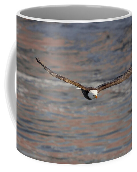Illinois Coffee Mug featuring the photograph Bald Eagle by Peter Lakomy