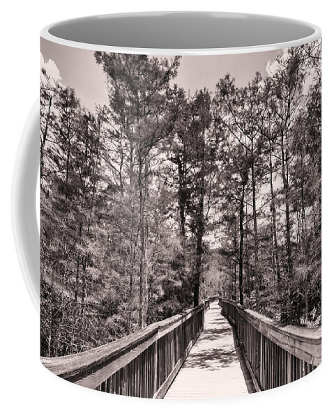 Everglades Coffee Mug featuring the photograph Florida Everglades by Raul Rodriguez