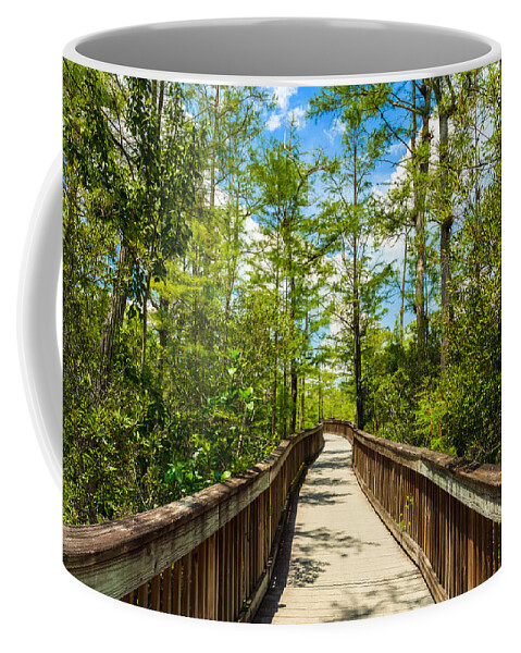 Everglades Coffee Mug featuring the photograph Florida Everglades #24 by Raul Rodriguez
