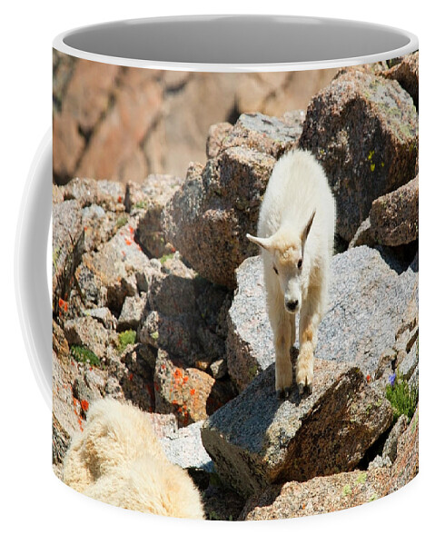 Mount Massive Coffee Mug featuring the photograph Hiking the Mount Massive Summit #24 by Steven Krull