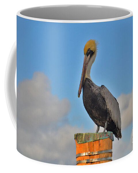 Pelican Coffee Mug featuring the photograph 24- Pelican by Joseph Keane