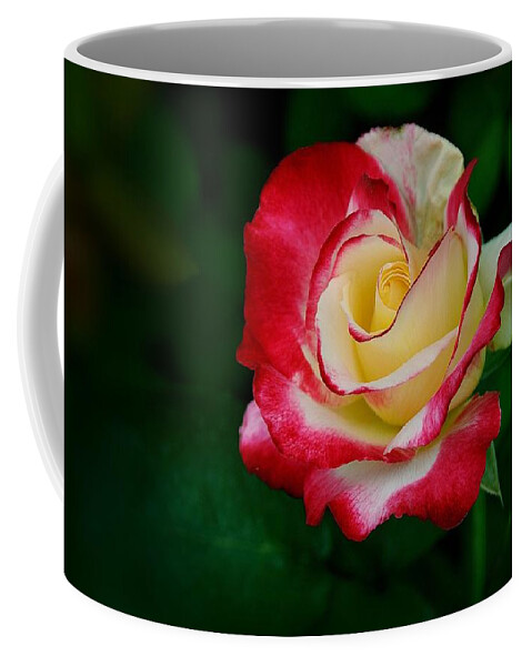 Rose Coffee Mug featuring the digital art Rose #25 by Maye Loeser