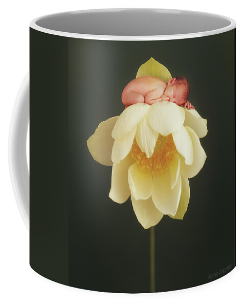 Water Lily Coffee Mug featuring the photograph Lotus Bud by Anne Geddes