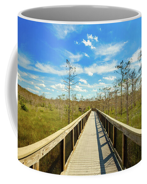 Big Cypress National Preserve Coffee Mug featuring the photograph Florida Everglades by Raul Rodriguez