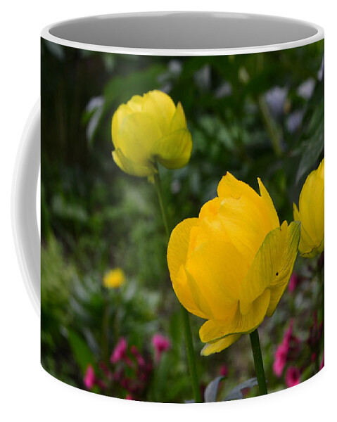 Flower Coffee Mug featuring the photograph Flower #271 by Mariel Mcmeeking