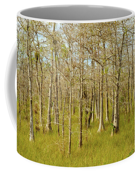 Big Cypress National Preserve Coffee Mug featuring the photograph Florida Everglades #28 by Raul Rodriguez