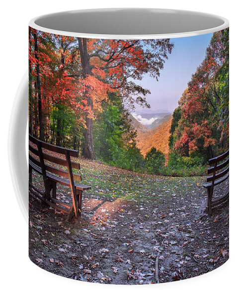 Babcock State Park Coffee Mug featuring the photograph Babcock State Park #3 by Mary Almond