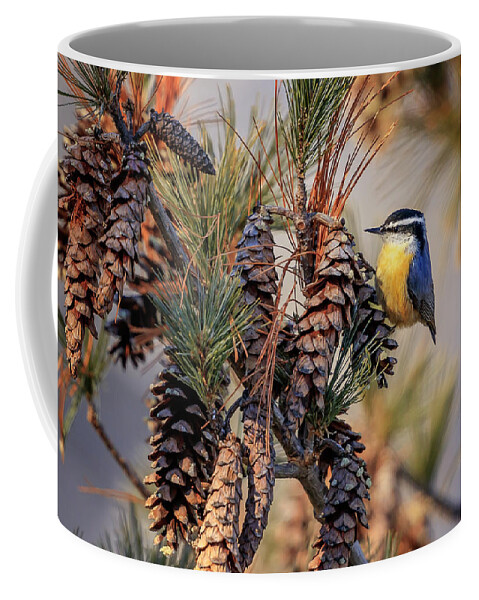 Adorable Coffee Mug featuring the photograph Black-capped Chickadee by Peter Lakomy