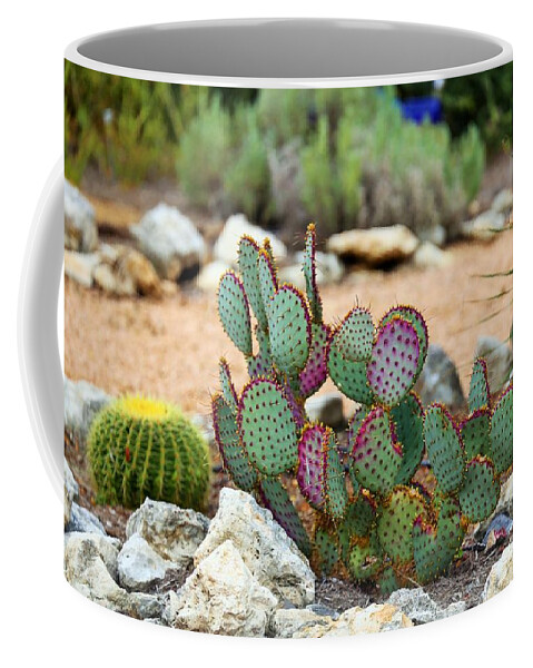  Coffee Mug featuring the photograph Cactus #4 by Jeff Downs
