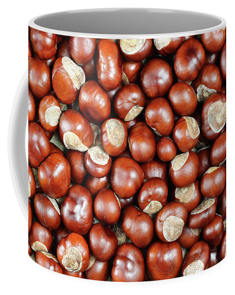 Conker Coffee Mug featuring the photograph Conkers by Michal Boubin