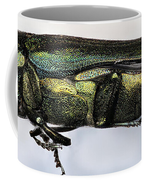 Macro Coffee Mug featuring the photograph Emerald Ash Borer #3 by Macroscopic Solutions