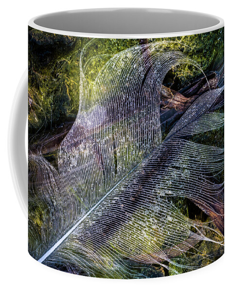 Duck Feathers Coffee Mug featuring the photograph Feathers #3 by Elmer Jensen