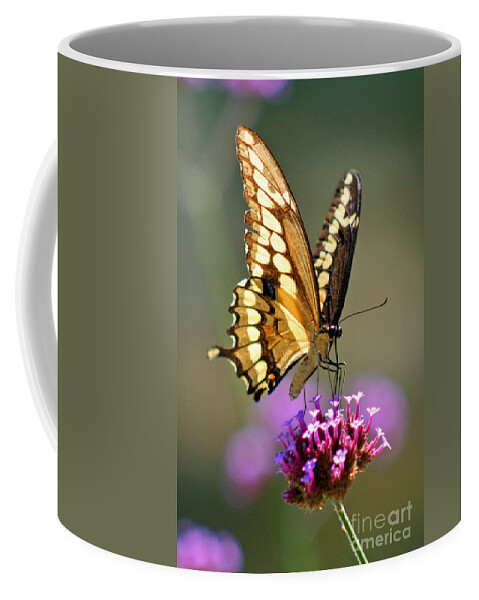Giant Coffee Mug featuring the photograph Giant Swallowtail Butterfly #4 by Karen Adams